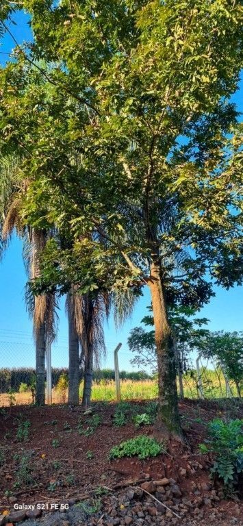 Fazenda à venda em Centro, São Pedro do Ivaí — Portal Chave Fácil