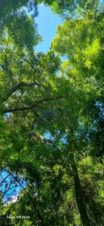 Fazenda à venda em Centro, São Pedro do Ivaí — Portal Chave Fácil