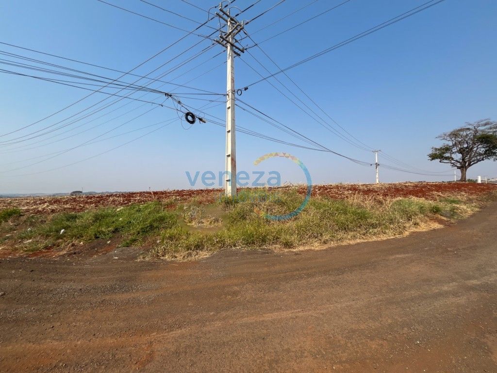 Chácara-imóvel-rural para venda no Vila Atalaia em Cambe com 0m² por R$ 18.000.000,00 - Foto 1