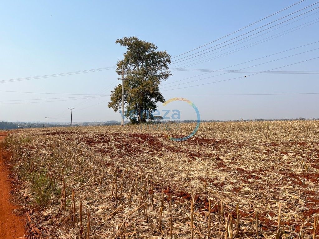 Chácara-imóvel-rural para venda no Vila Atalaia em Cambe com 0m² por R$ 18.000.000,00 - Foto 3