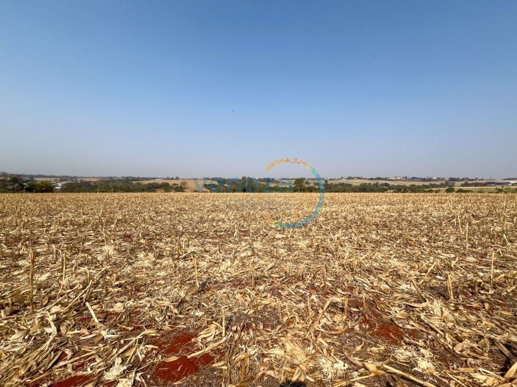 Chácara-imóvel-rural para venda no bairro Vila Atalaia de Cambe - Foto 7
