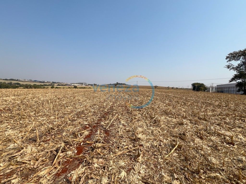 Chácara-imóvel-rural para venda no bairro Vila Atalaia de Cambe - Foto 9