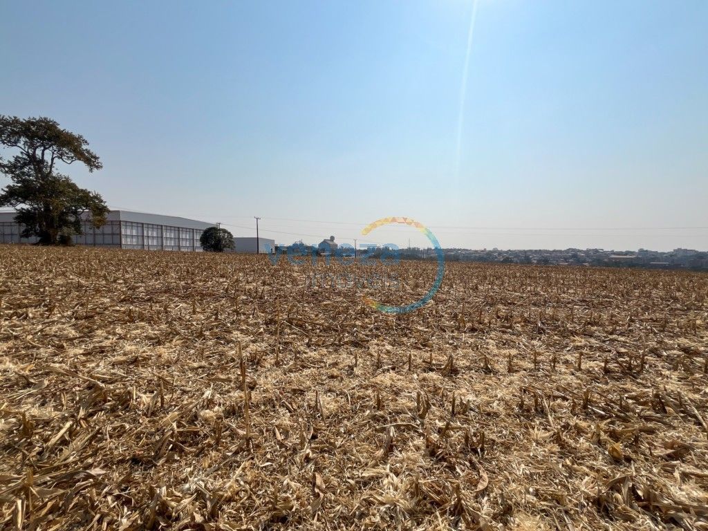Chácara-imóvel-rural para venda no bairro Vila Atalaia de Cambe - Foto 10