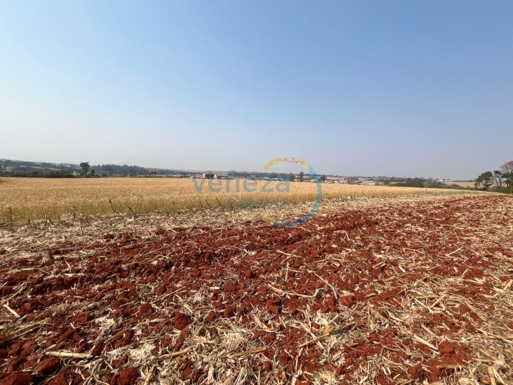 Chácara-imóvel-rural para venda no bairro Vila Atalaia de Cambe - Foto 12
