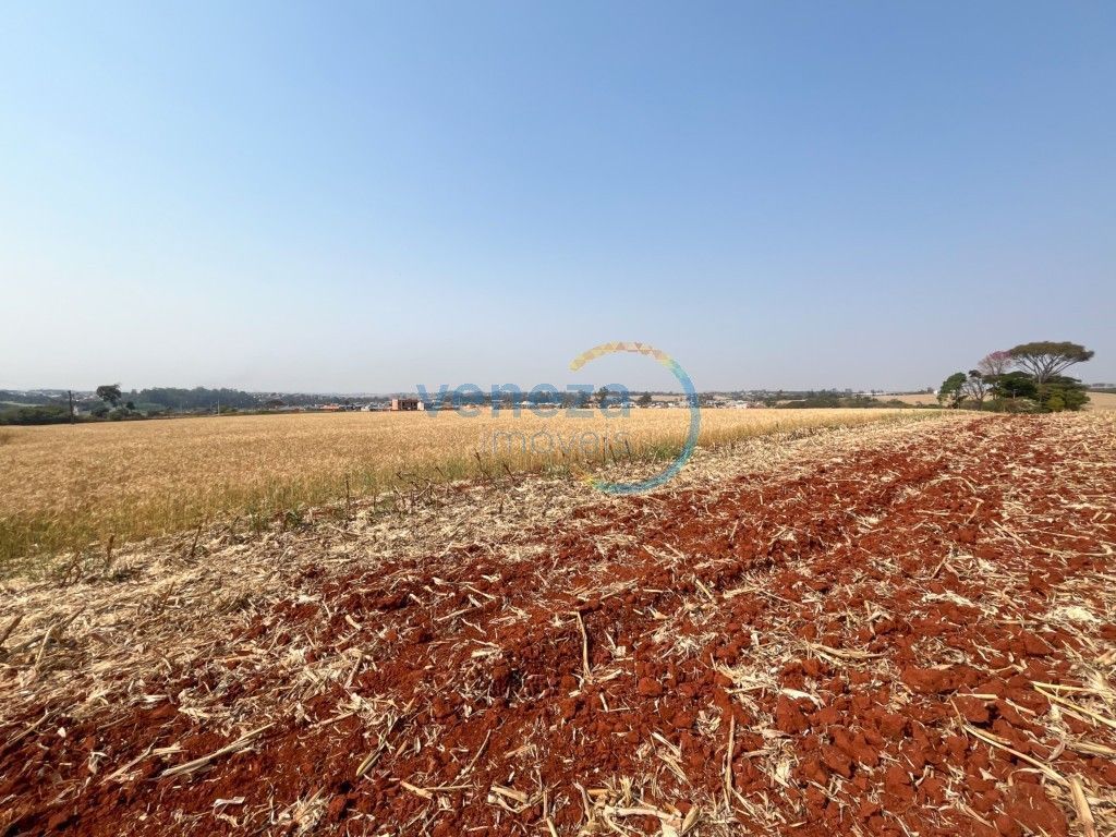 Chácara-imóvel-rural para venda no bairro Vila Atalaia de Cambe - Foto 13