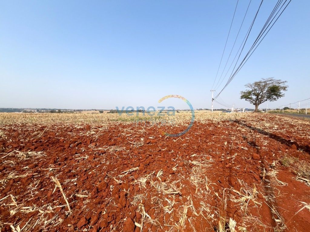 Chácara-imóvel-rural para venda no bairro Vila Atalaia de Cambe - Foto 14