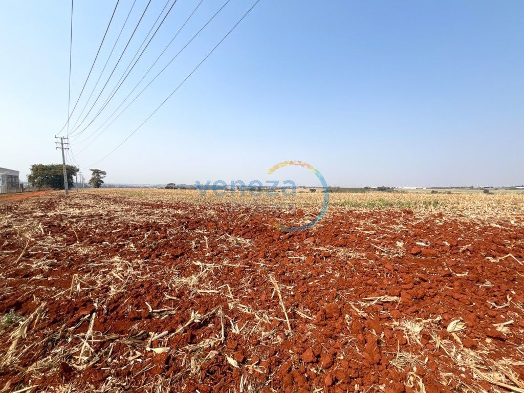 Chácara-imóvel-rural para venda no bairro Vila Atalaia de Cambe - Foto 15