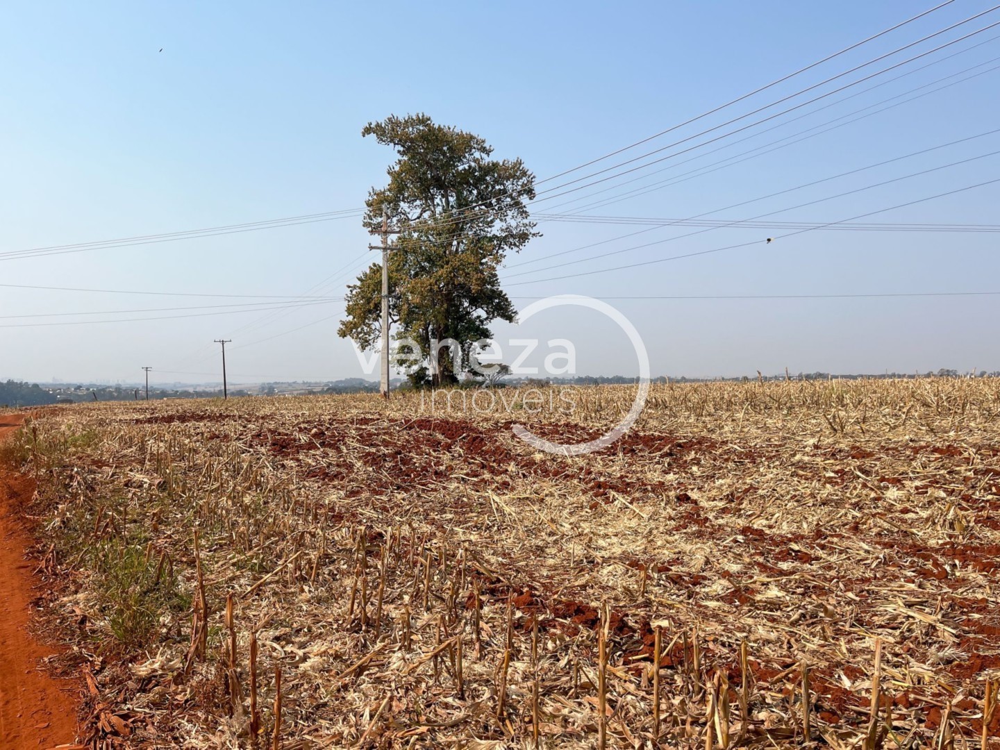 Chácara-imóvel-rural para venda no Vila Atalaia em Cambe com 0m² por R$ 18.000.000 - Foto 3