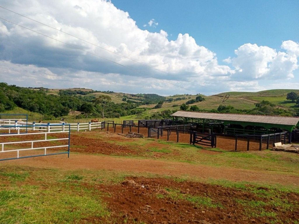 Chácara-imóvel-rural para venda no Rural em Nova Tebas com 6.969.600m² por R$ 36.000.000,00 - Foto 1