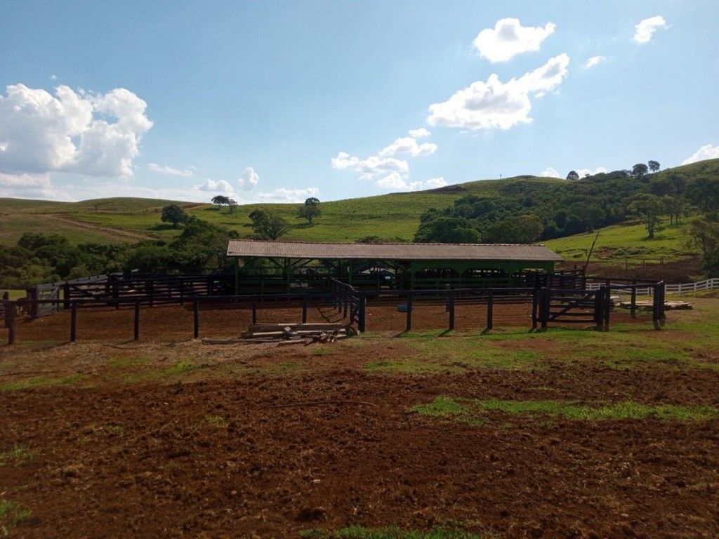 Chácara-imóvel-rural para venda no bairro Rural de Nova Tebas - Foto 4