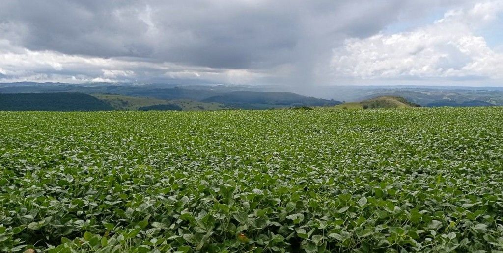 Chácara-imóvel-rural para venda no bairro Rural de Nova Tebas - Foto 6