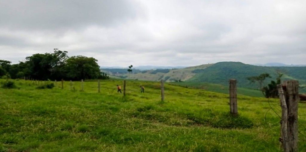 Chácara-imóvel-rural para venda no bairro Rural de Nova Tebas - Foto 10