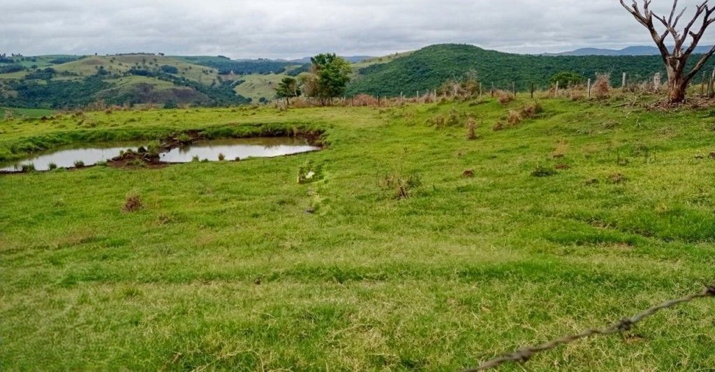 Chácara-imóvel-rural para venda no bairro Rural de Nova Tebas - Foto 11
