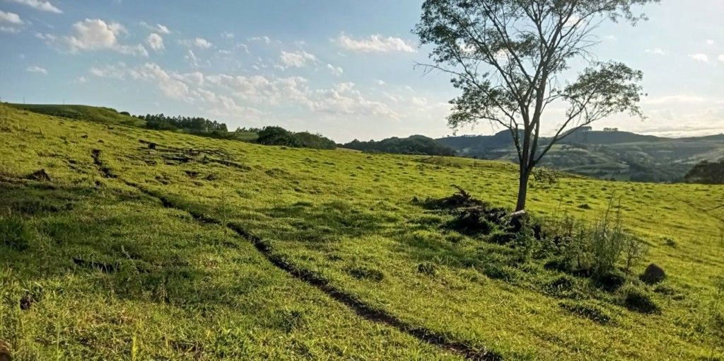 Chácara-imóvel-rural para venda no bairro Rural de Nova Tebas - Foto 16