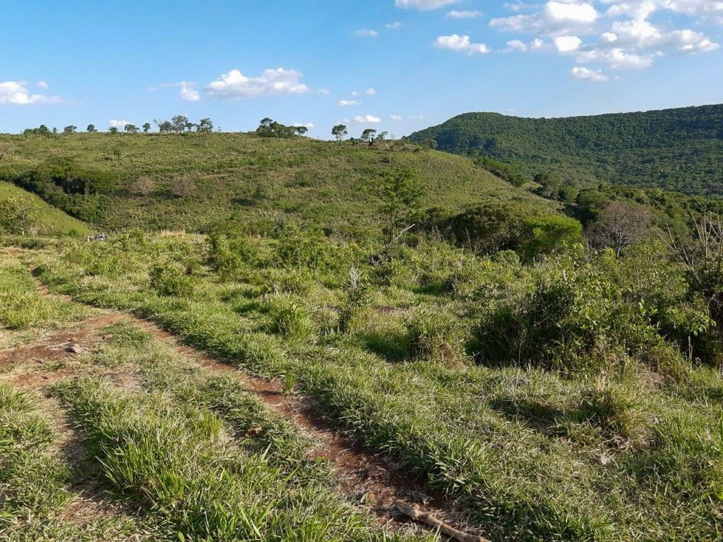 Chácara-imóvel-rural para venda no bairro Rural de Nova Tebas - Foto 17
