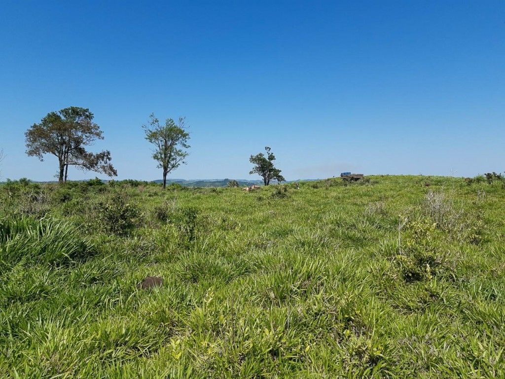 Chácara-imóvel-rural para venda no bairro Rural de Nova Tebas - Foto 19