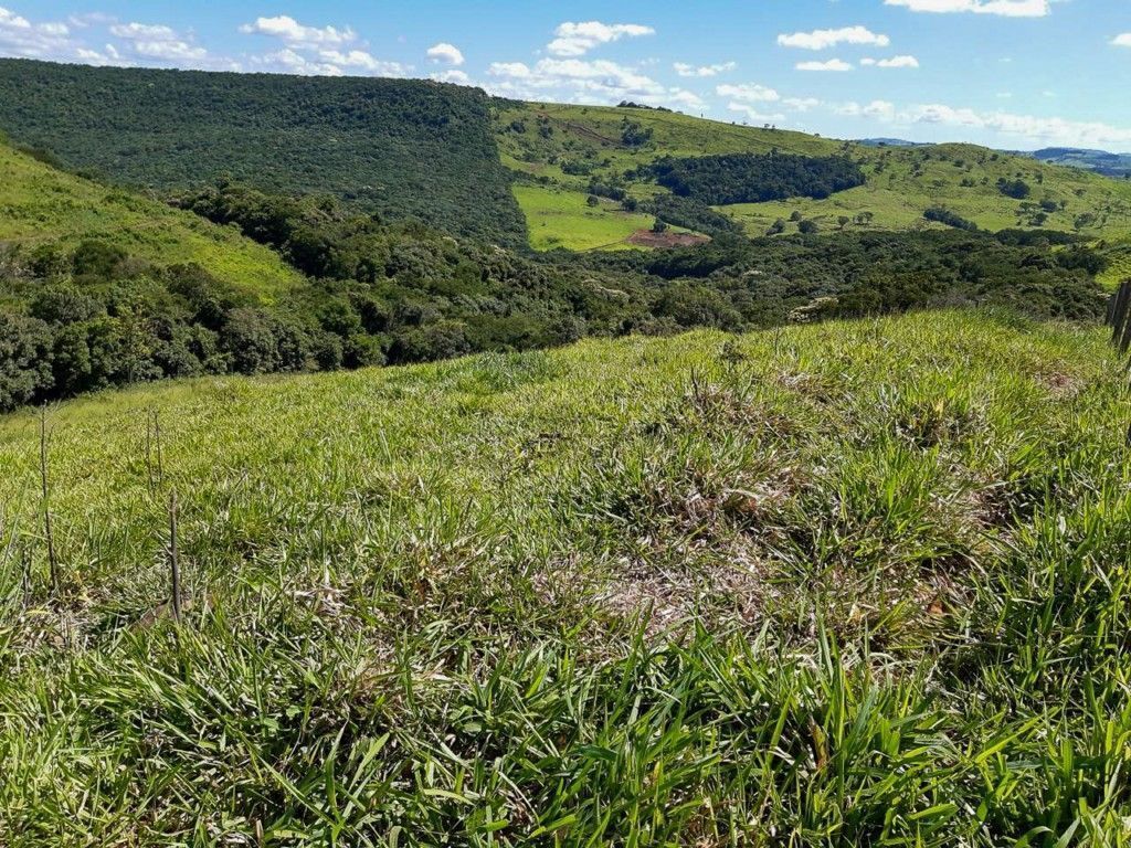Chácara-imóvel-rural para venda no bairro Rural de Nova Tebas - Foto 21