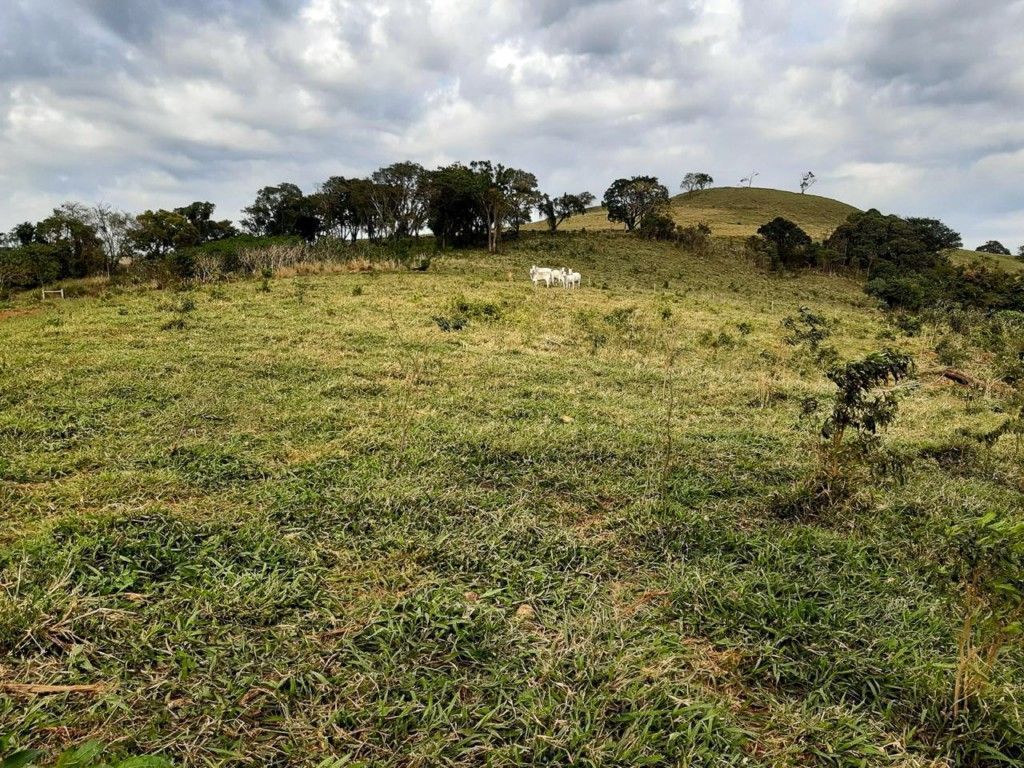 Chácara-imóvel-rural para venda no bairro Rural de Nova Tebas - Foto 22