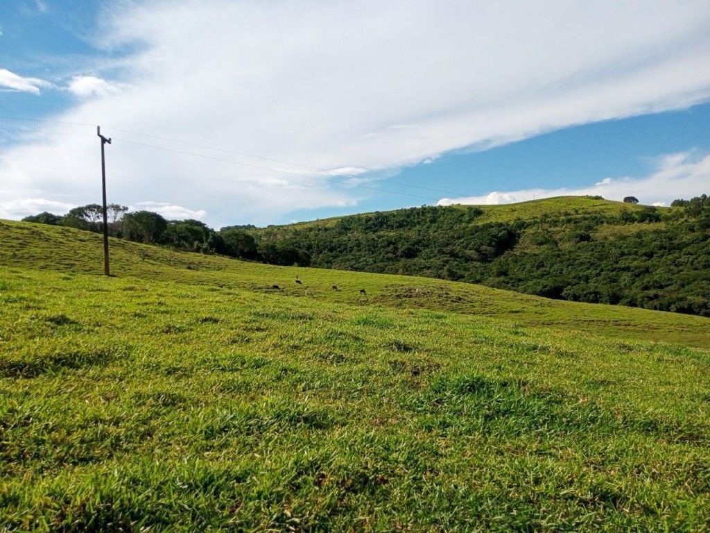 Chácara-imóvel-rural para venda no bairro Rural de Nova Tebas - Foto 27