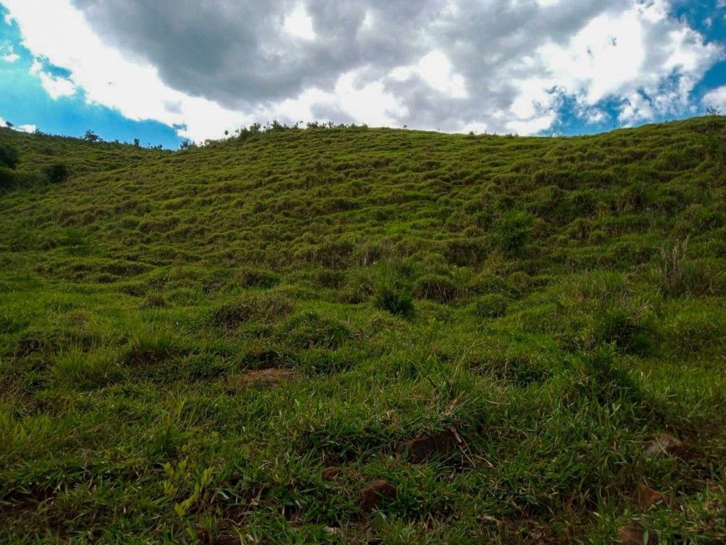 Chácara-imóvel-rural para venda no bairro Rural de Nova Tebas - Foto 28
