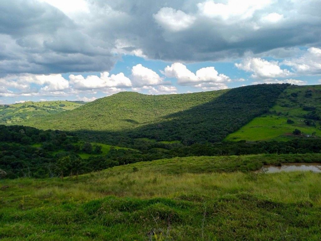 Chácara-imóvel-rural para venda no bairro Rural de Nova Tebas - Foto 29