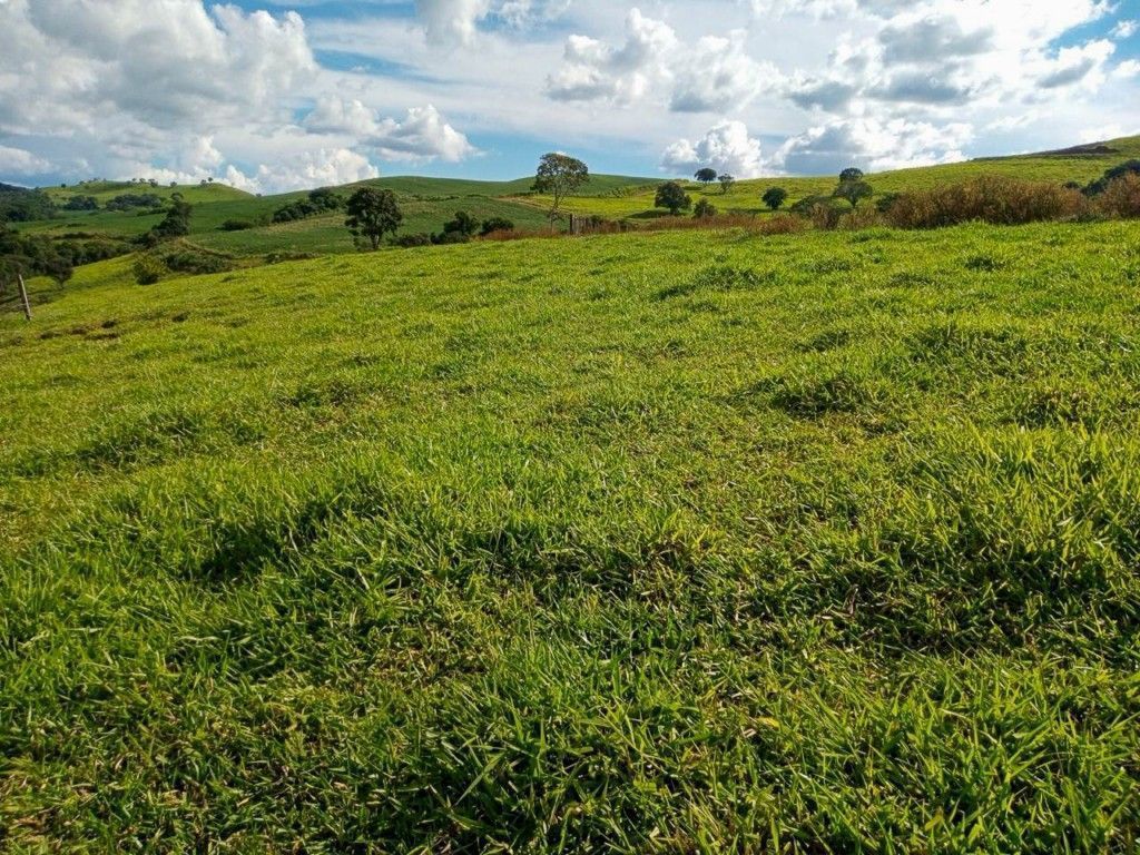 Chácara-imóvel-rural para venda no bairro Rural de Nova Tebas - Foto 30