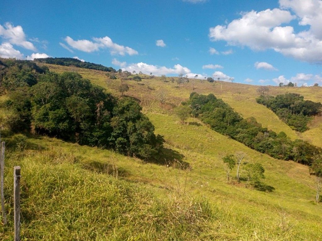 Chácara-imóvel-rural para venda no bairro Rural de Nova Tebas - Foto 31