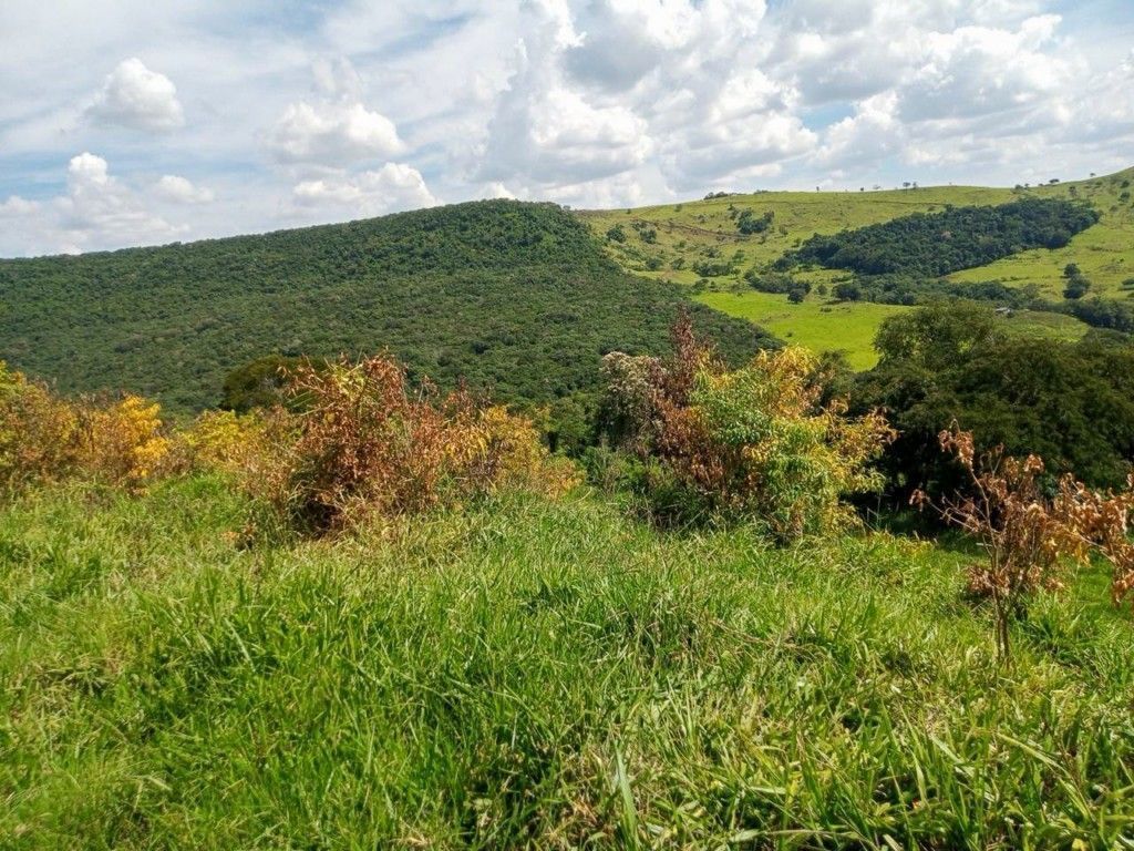 Chácara-imóvel-rural para venda no bairro Rural de Nova Tebas - Foto 32