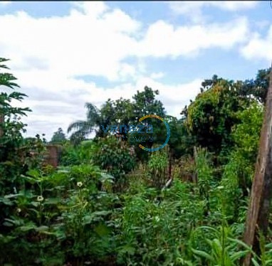 Fazenda à venda em Guaravera, Londrina — Portal Chave Fácil