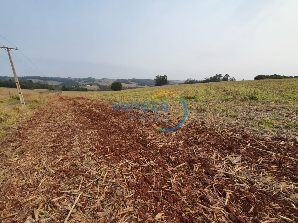Terreno/Área à venda em Palhano 2, Londrina — Portal Chave Fácil