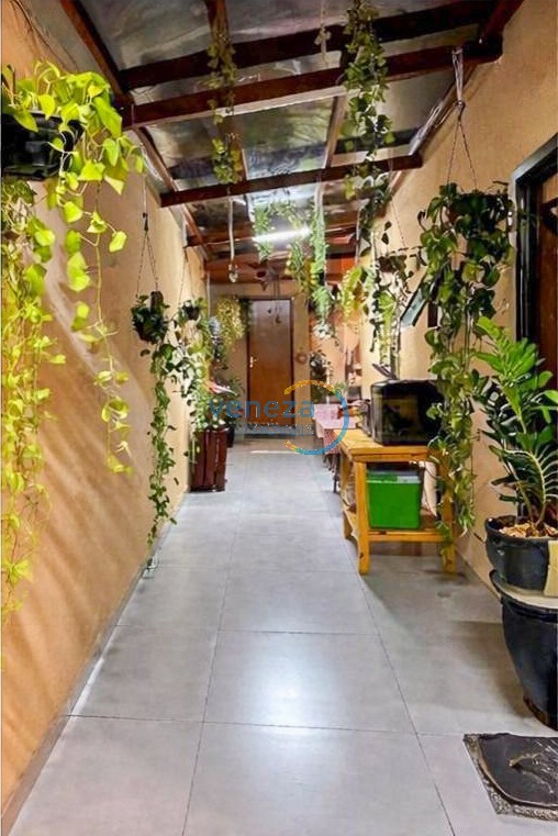 Casa Residencial para venda no bairro Coliseu de Londrina - Foto 15