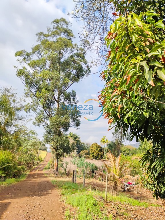Fazenda à venda em Sao Luiz, Londrina — Portal Chave Fácil