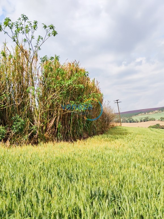 Fazenda à venda em Sao Luiz, Londrina — Portal Chave Fácil