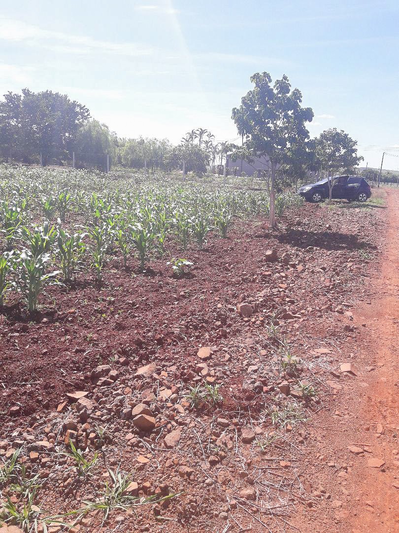 Fazenda à venda em Zona Rural, Sertanópolis — Portal Chave Fácil