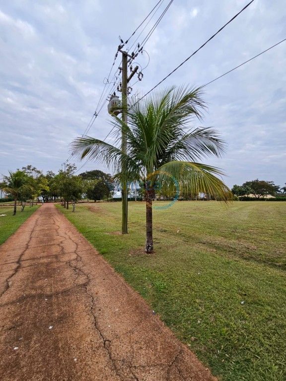 Terreno para venda no Ilha do Sol em Primeiro de Maio com 1.299m² por R$ 430.000,00