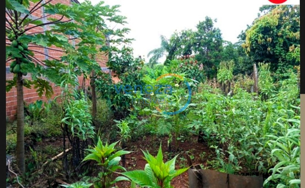 Chácara-imóvel-rural à venda no bairro Guaravera de Londrina com 120m<sup>2</sup> útil
