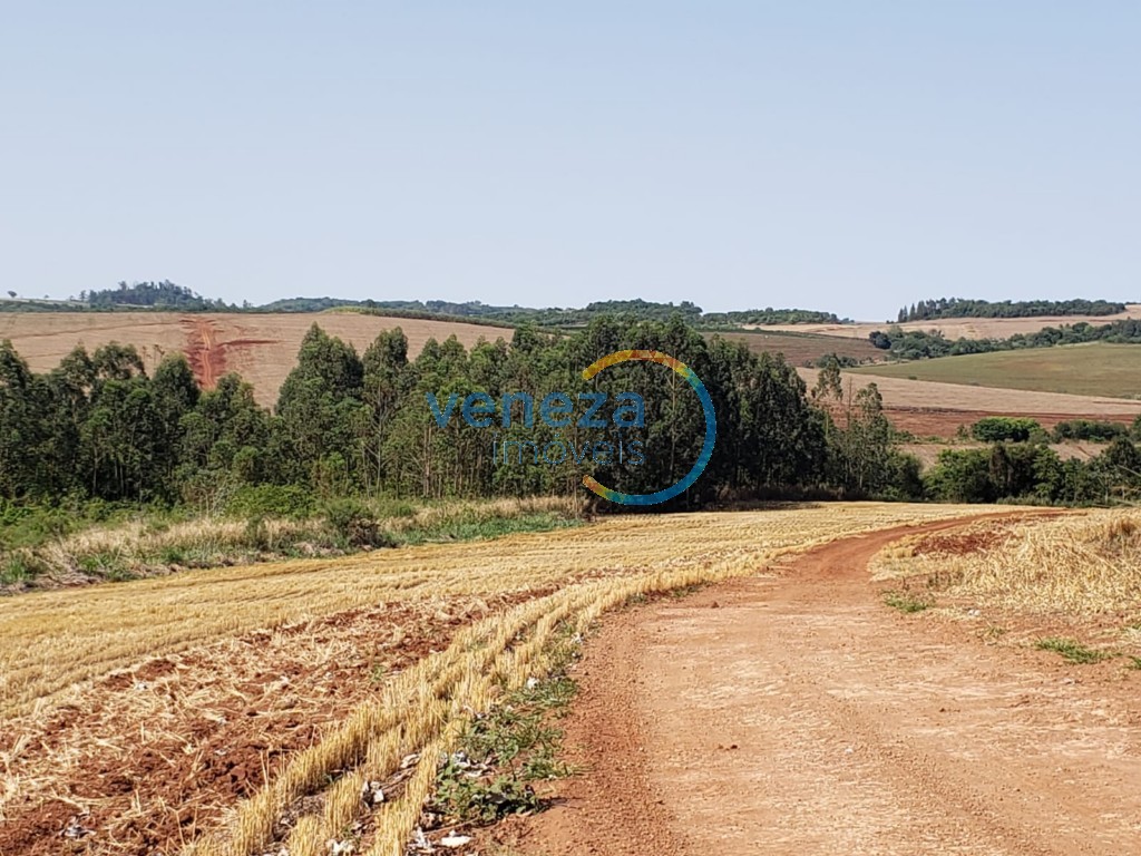 Chácara-imóvel-rural para venda no Rural em Assai com 20.000m² por R$ 450.000,00  - Foto 2