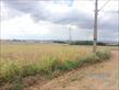 Terreno para locação no bairro Estancia Dellaville de Londrina com 2500m<sup>2</sup> total - Foto 1