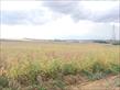 Terreno para locação no bairro Estancia Dellaville de Londrina com 2500m<sup>2</sup> total - Foto 2