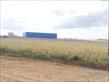 Terreno para locação no bairro Estancia Dellaville de Londrina com 2500m<sup>2</sup> total - Foto 3