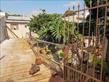 Casa Residencial para locação no bairro Residencial Vila Romana de Londrina com 70m<sup>2</sup> útil, 2 quartos, 1 vaga de garagem - Foto 3
