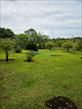 Chácara-imóvel-rural para locação no bairro Estancia Cabral de Cambe com 162m<sup>2</sup> útil - Foto 22