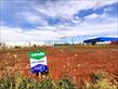 Terreno para locação no bairro Estancia Dellaville de Londrina com 2500m<sup>2</sup> total - Foto 1