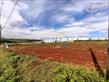 Terreno para locação no bairro Estancia Dellaville de Londrina com 2500m<sup>2</sup> total - Foto 8