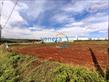 Terreno para locação no bairro Estancia Dellaville de Londrina com 2500m<sup>2</sup> total - Foto 7