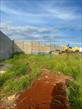 Terreno para locação no bairro Pacaembu de Londrina com 330m<sup>2</sup> total - Foto 6