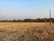 Chácara-imóvel-rural à venda no bairro Recanto do Salto de Londrina com 51525733m<sup>2</sup> útil - Foto 1