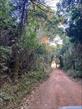Chácara-imóvel-rural à venda no bairro Recanto do Salto de Londrina com 51525733m<sup>2</sup> útil - Foto 6
