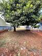 Casa Residencial à venda no bairro Aeroporto de Londrina com 55m<sup>2</sup> útil, 2 quartos, 1 vaga de garagem - Foto 13