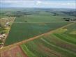 Chácara-imóvel-rural à venda no bairro Milton Gavetti de Londrina com 242000m<sup>2</sup> útil - Foto 3